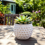 White Terracotta Bubble Planter