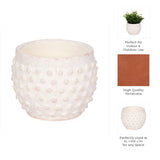 White Terracotta Bubble Planter
