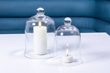 Bell Shaped Cloche