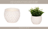 White Terracotta Bubble Planter