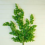 Cascading Mini Leaves Stem