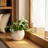 White Terracotta Bubble Planter