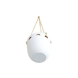 White Terracotta Cutout Hanging Pot