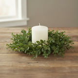 Boxwood 9" Candle Ring