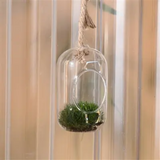 Sol Glass Hanging Terrarium.