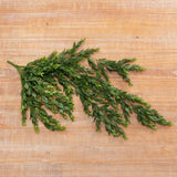 Cascading Greenery Branch